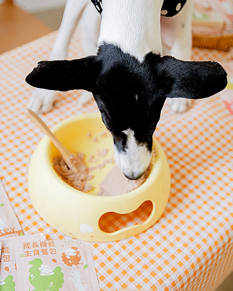 女人知己試用大隊,口碑行銷,部落客行銷,自然食 成長機能主食餐包,自然食,成長機能狗狗主食餐包,成長機能貓咪主食餐包,滿足毛孩最單純的幸福,人食等級食材,開封即食,綿密的肉泥狀質地,好吸收,無膠類,無色素,無防腐劑的添,維持腸道健康,添加DHA/靈芝多醣體,使用高優質蛋白,適口性佳,狗狗口味,犬用營養火雞,犬用嫩雞牛肉,貓咪口味,貓用營養嫩雞,貓用嫩雞鮪魚